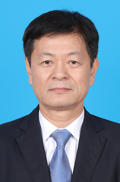 卢  琪