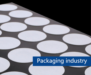 Packaging Industry