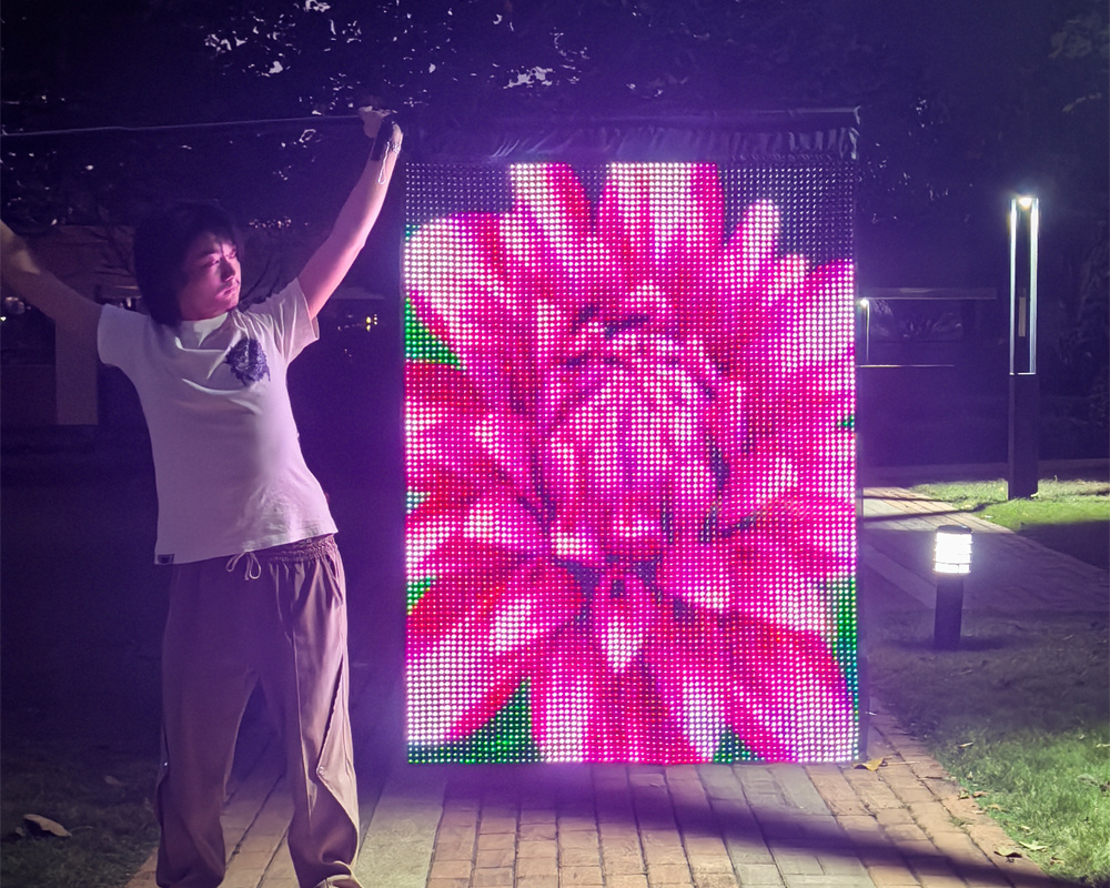 LED vision flag different pixel comparison