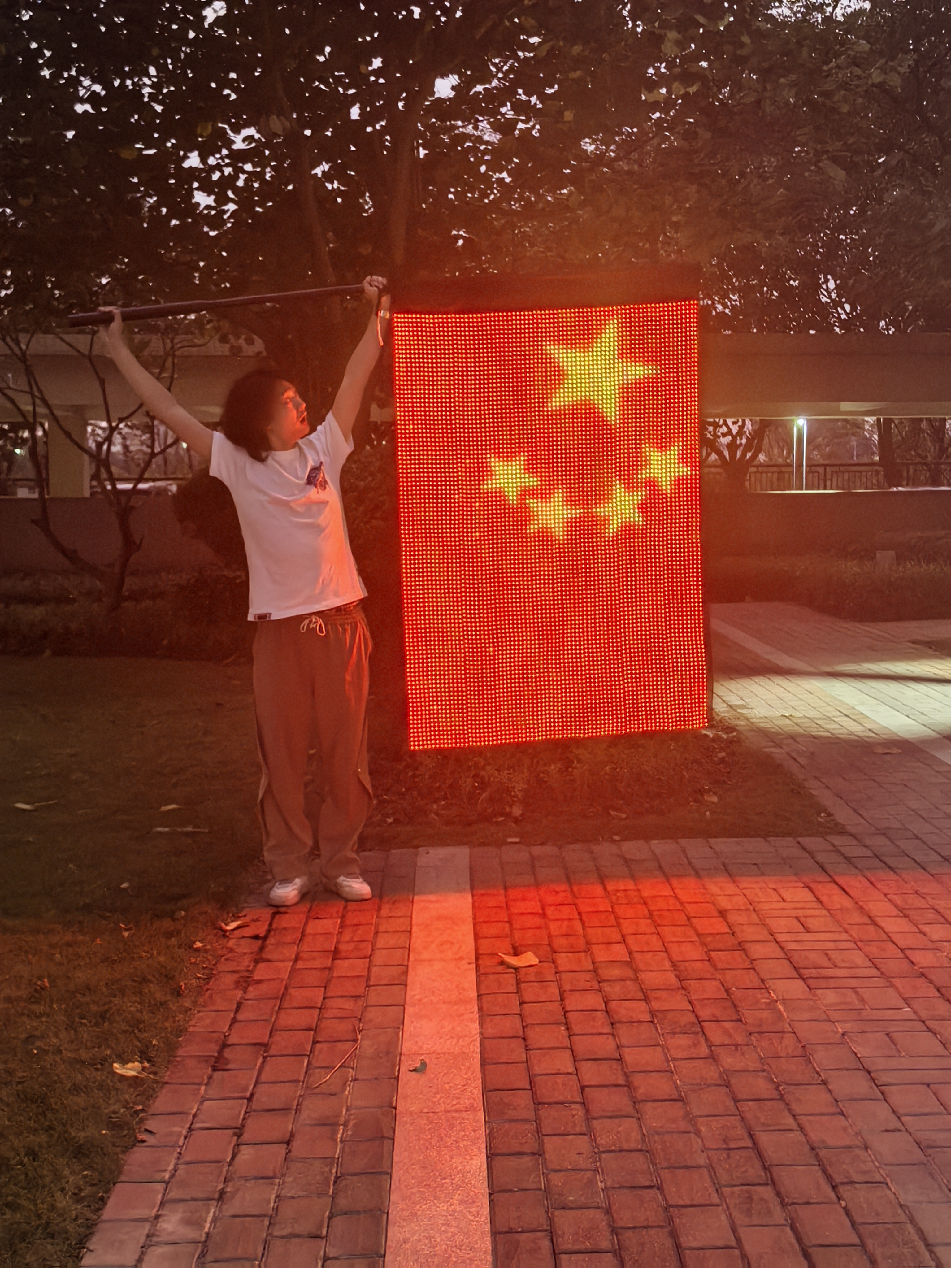 High quality LED flag for show P20
