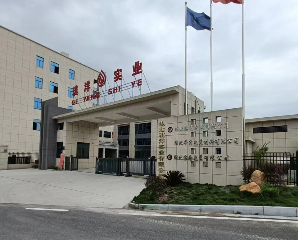 视频标题