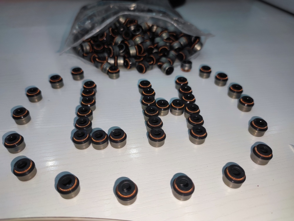 valve oil seal
