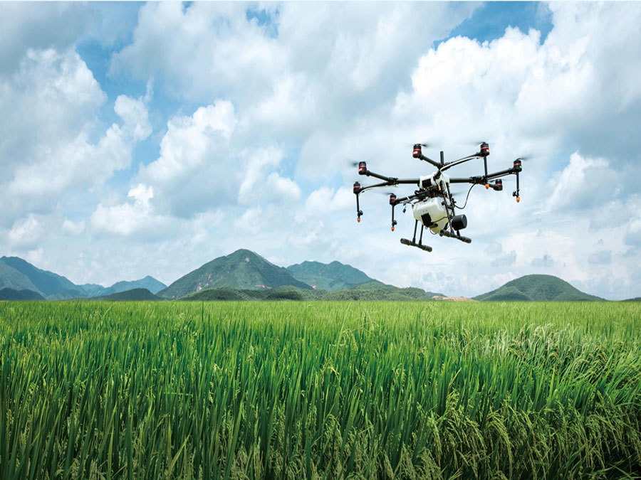 2023 Huaxian County High-Standard Farmland Construction Project 2023 Huaxian County High-Standard Farmland Construction Project