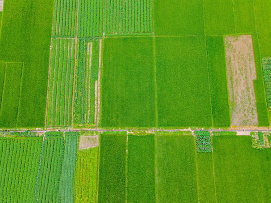 Weishi County 2021 Annual Comprehensive Agricultural Water Pricing Reform Project Weishi County 2021 Annual Comprehensive Agricultural Water Pricing Reform Project