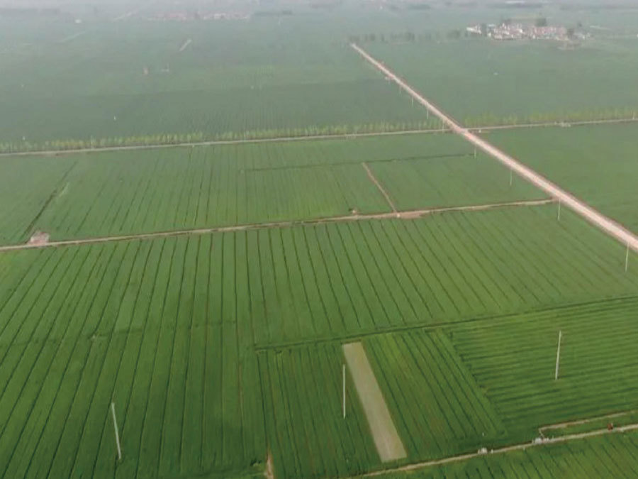 2022 Kaifeng Xiangfu District High-Standard Farmland Construction Project 2022 Kaifeng Xiangfu District High-Standard Farmland Construction Project