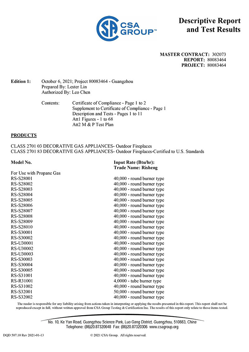 CSA Report