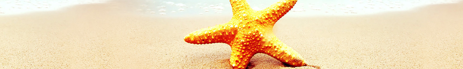 关于banner