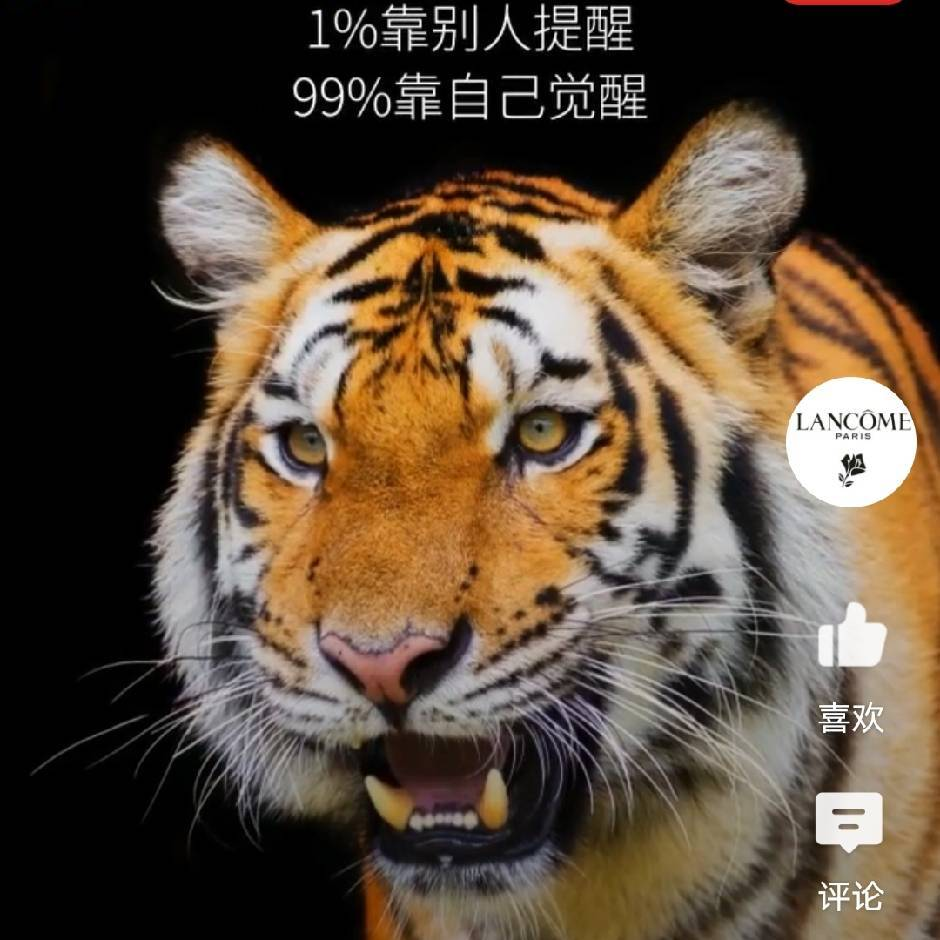谢荣德