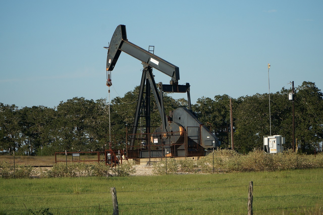Petroleum field