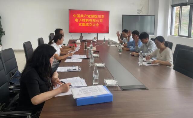 2024年6月园区首个非公企业党支部成立