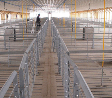 Pig Equipment
