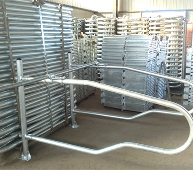 Cattle, Dairy Equipment