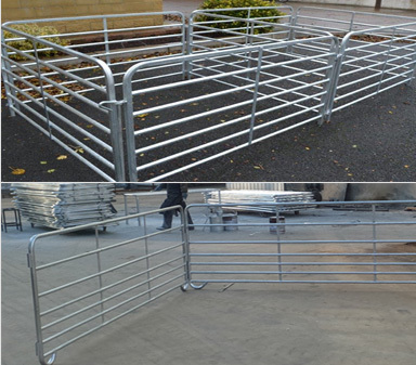 Sheep Panel, Fence, Yard