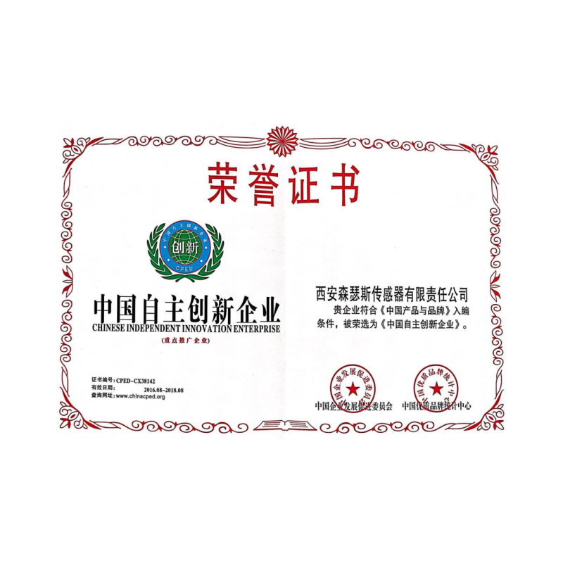 中国自主创新企业
