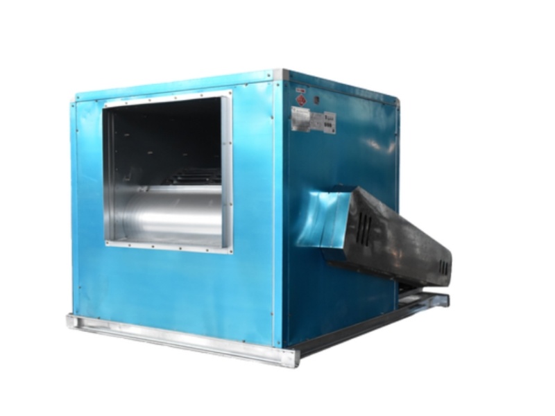 Maximizing Airflow: Unveiling the Benefits of Wall-Mounted Axial Flow Fans Maximizing Airflow: Unveiling the Benefits of Wall-Mounted Axial Flow Fans