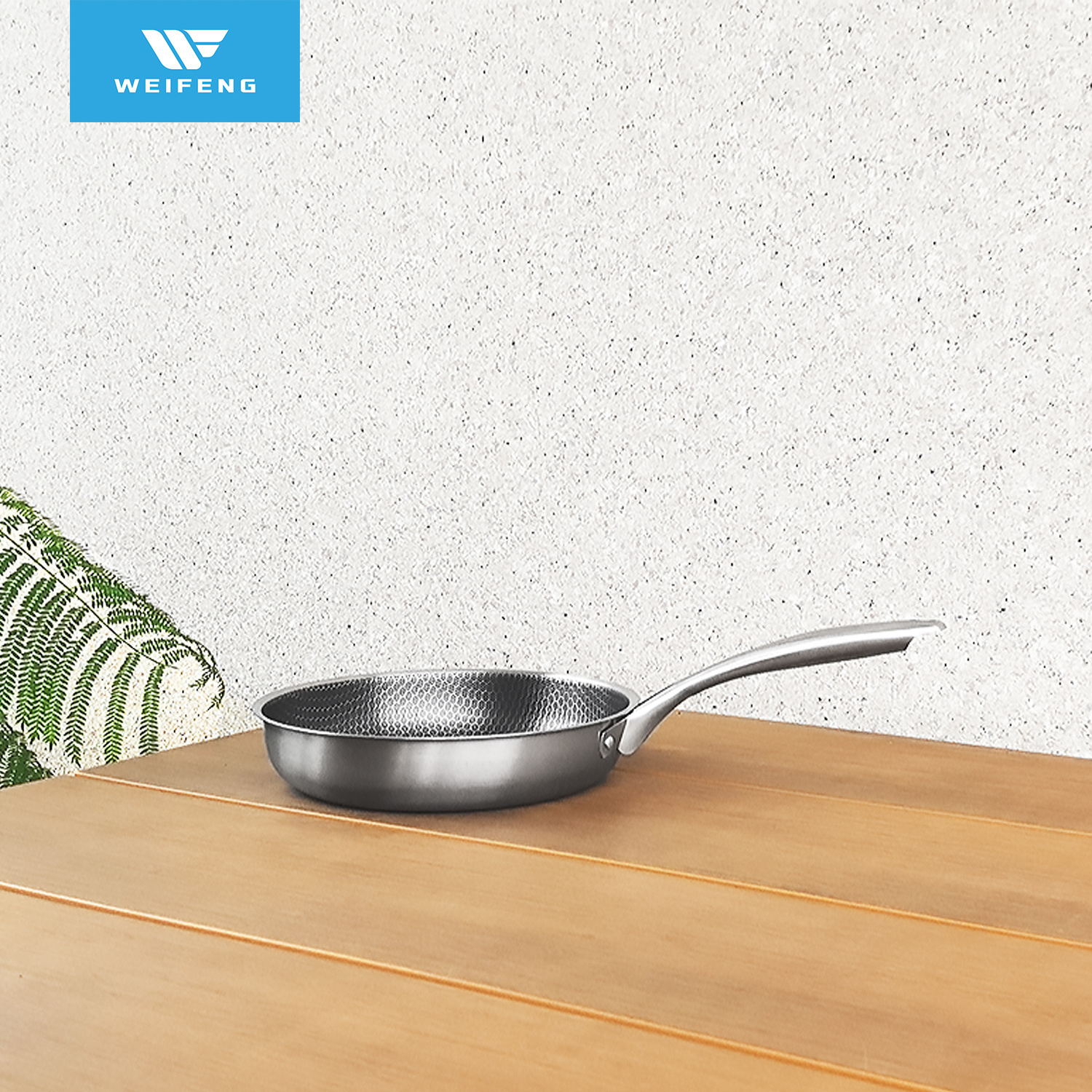 Honeycomb Non-Stick Coating, Single Wall Frypan, Stainless Steel Cookware