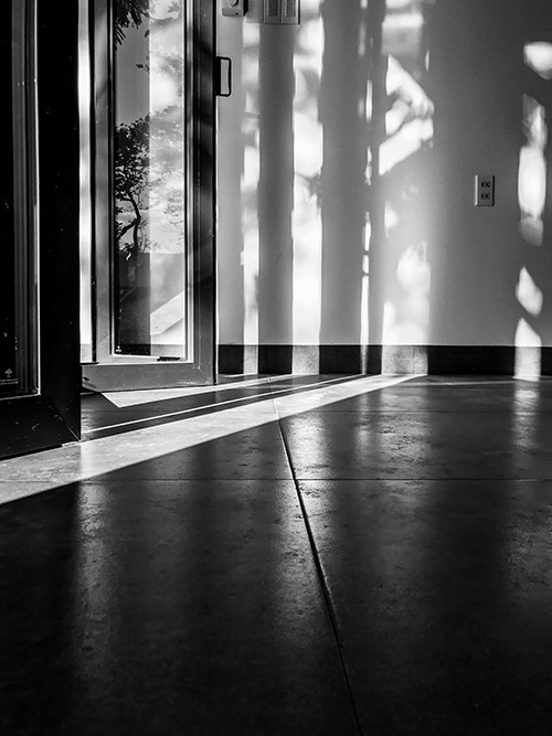 Choosing the Right Flooring Materials for Your Construction Project: What You Need to Know