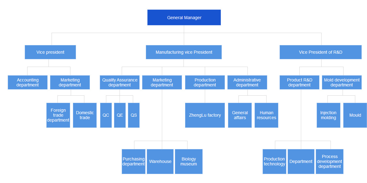 Organizational Structure