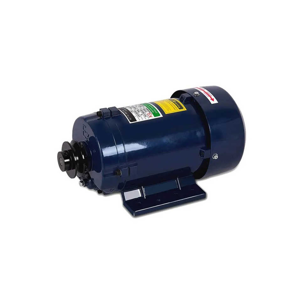 Anti-explosion 220V motor