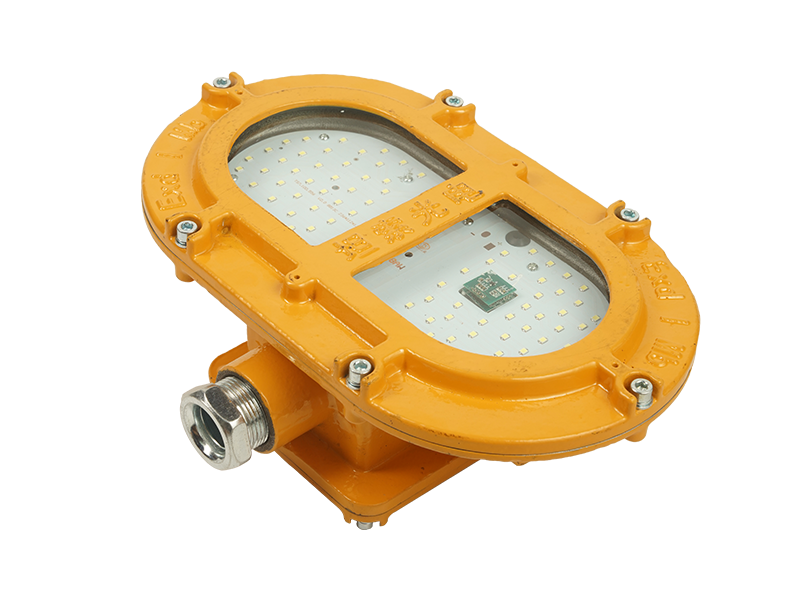 DGC48/127LW(A) Mining Explosion-proof LED Lighting Induction Lamp