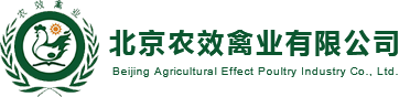 農(nóng)效禽業(yè)