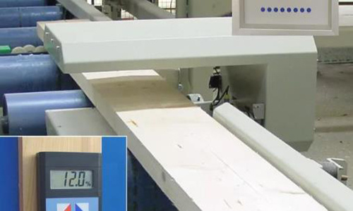 Moisture testing and sorting system
