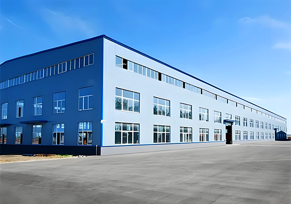Steel Structure Building