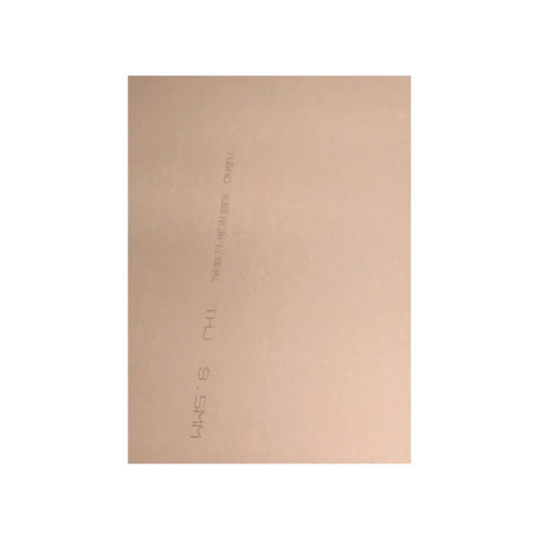Gypsum board