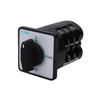 Conversion switch