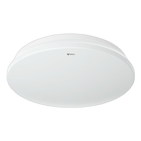 Induction ceiling light