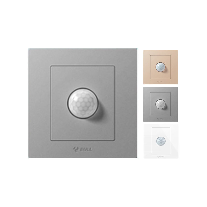 Human body induction switch