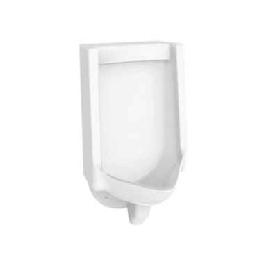 Wall-mounted urinal
