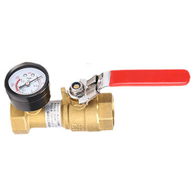 End-of-line water testing device