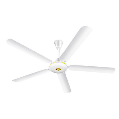 Ceiling fan