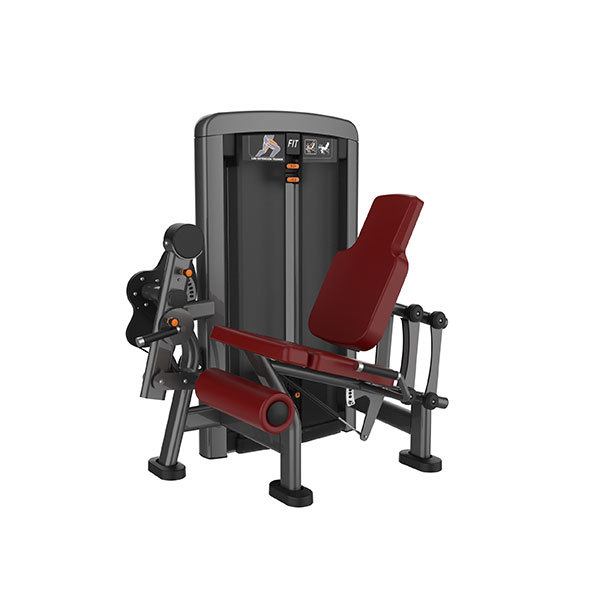 Seated Leg Curl L1002
