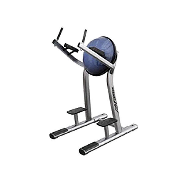 Leg Raise Machine L1047