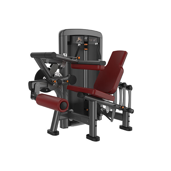 Seated Leg Curl Machine L1081