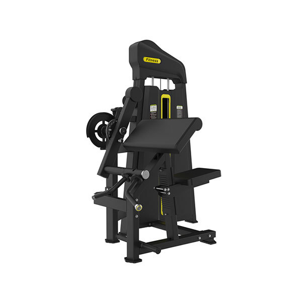 Biceps /Triceps All-in-One Machine P885