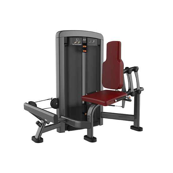Calf Extension Machine L-1027