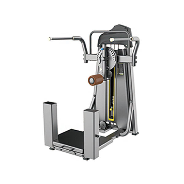 Leg Swing Trainer P811