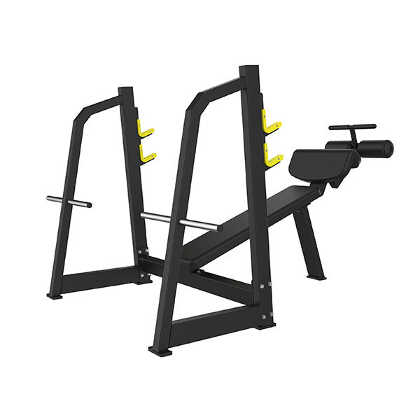 Olympic Decline Bench (Lower Incline Chest Pushers) P841