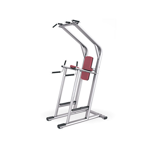 Chin Dip Leg Raise Station L1048