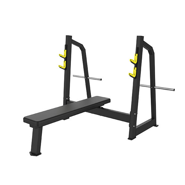 Olympic Bench P843