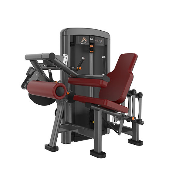 Seated Leg Curl Machine L-1023