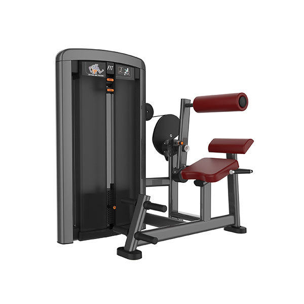 Back Extension Machine L1031