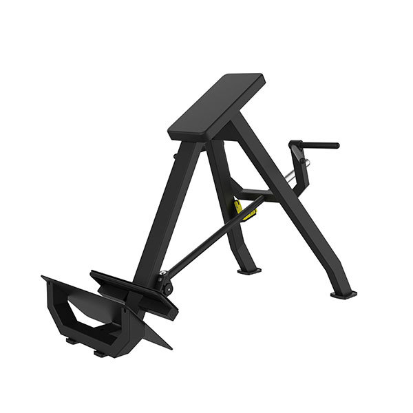 Incline Level Row (rowing machine) P861