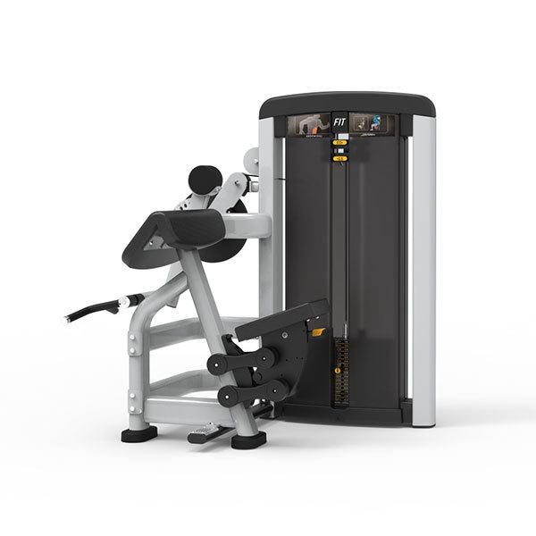 Plate Loaded Biceps Triceps L1083