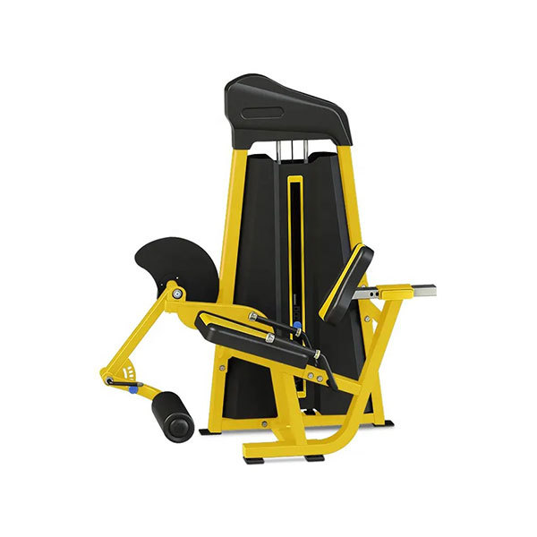 Seated Leg Curl Machine P802