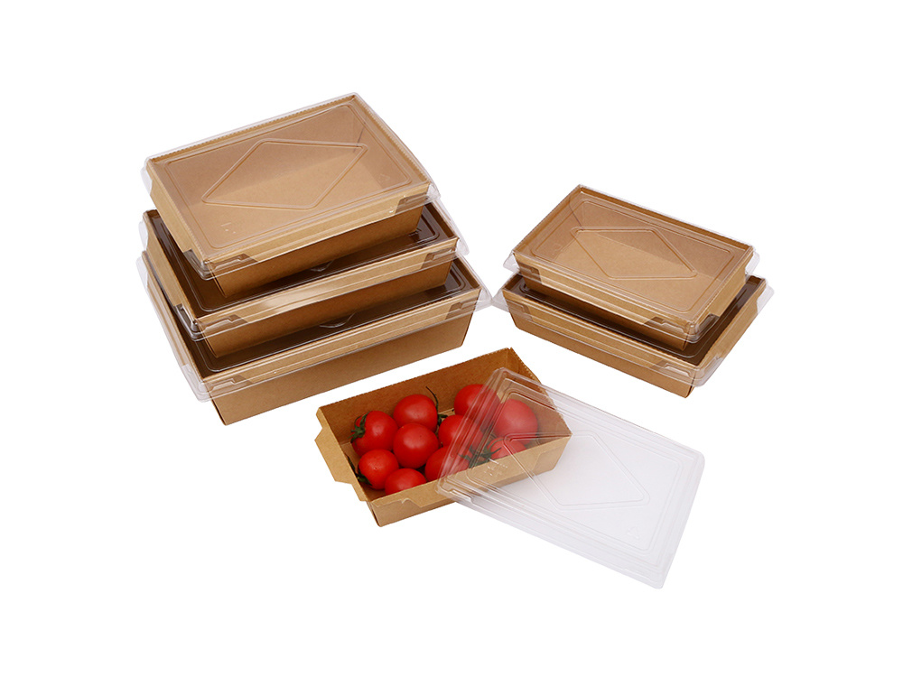 paper lunch box