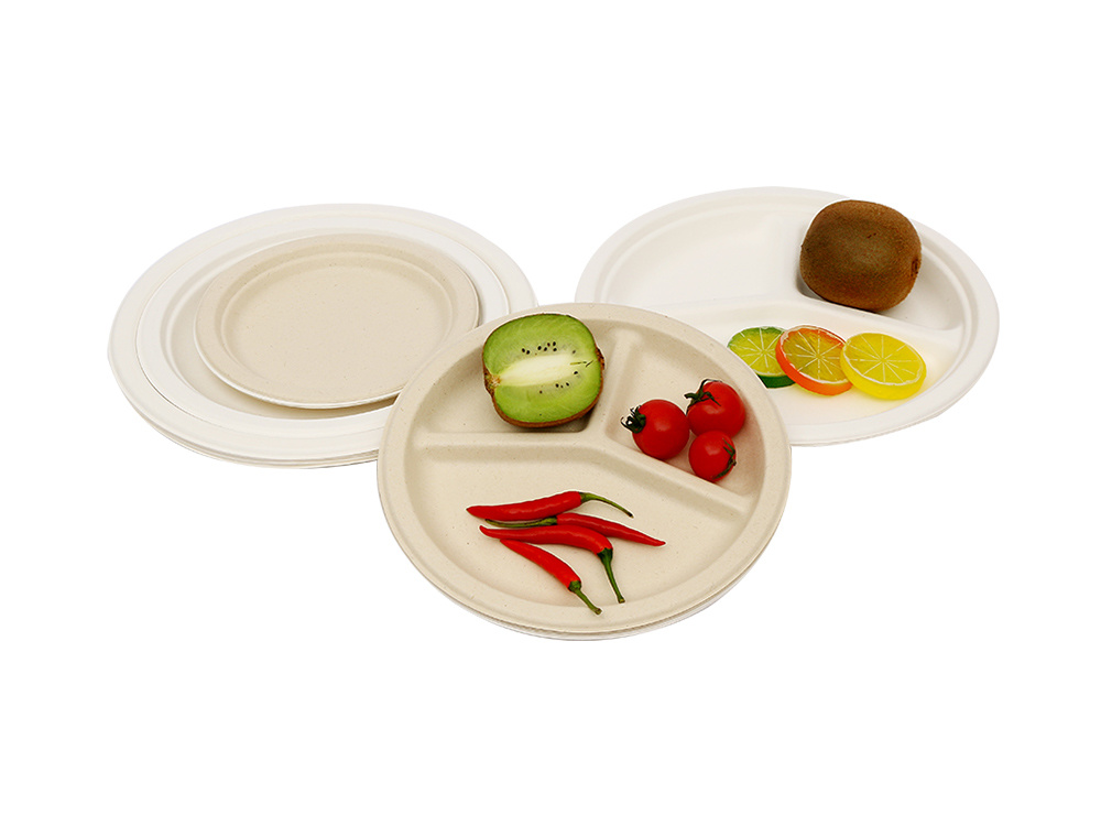 Sugarcane  Bagasse Tableware